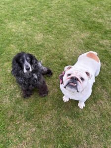 whatsapp image 2025 10 10 at 11.07.18 (1)