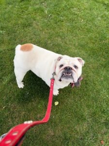 whatsapp image 2025 10 10 at 11.07.18 (2)