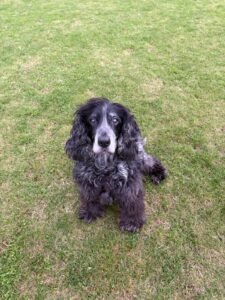 whatsapp image 2025 10 10 at 11.07.18